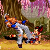 real bout fatal fury 2: the new comers